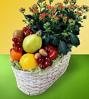 The FTD? Fruits & Flowers